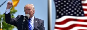 trump, winst