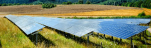 Tomorrow Energy wil een kans krijgen (Tom Lassing)