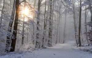 Drie aandelen met verbluffend koerspotentieel (Jack Hoogland)