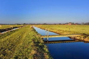 Industrieën die gaan verdwijnen (Tom Lassing)