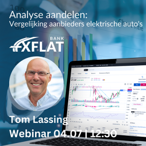 Vijf Elektrische Autofabrikanten besproken (Tom Lassing)