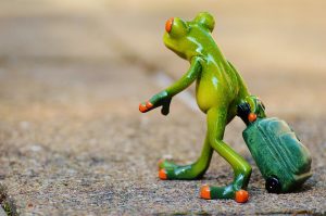 Dramatisch slecht rendement aandelen (Tom Lassing)