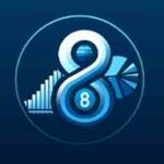 Kapitaalbehoud, -groei en overdracht (Eight Investment)